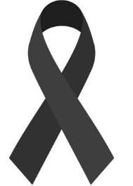 media/imagens/CERIMONIA_ONLINE_33.png