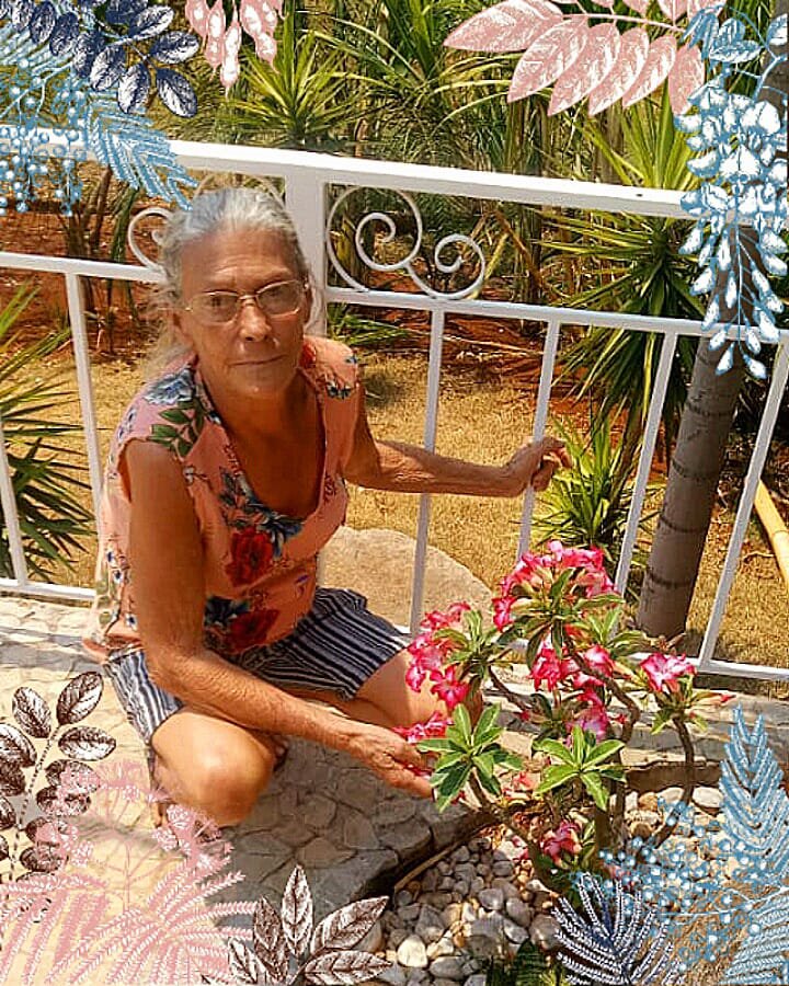 media/imagens/WhatsApp_Image_2025-06-09_at_13.36.30.jpeg